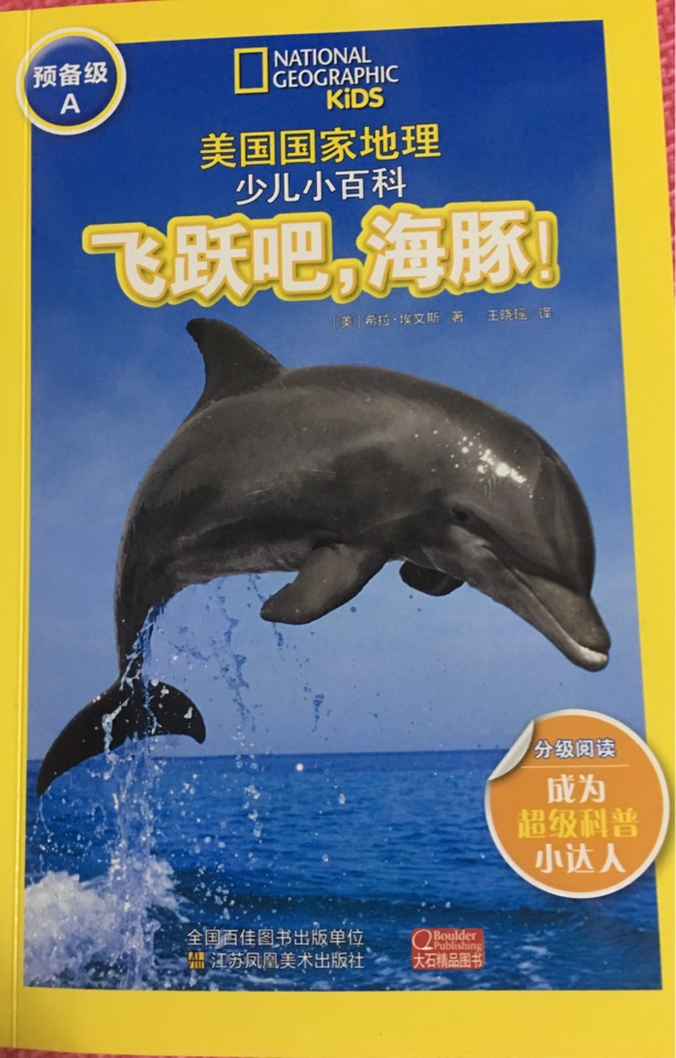 飛躍吧 海豚