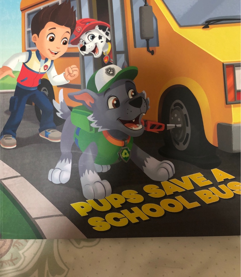 Paw Patrol  Pups Save A School Bus