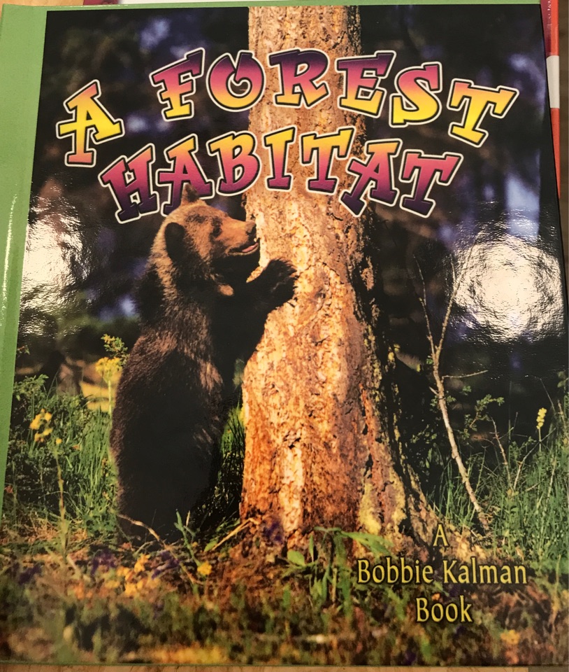 A forest habitat