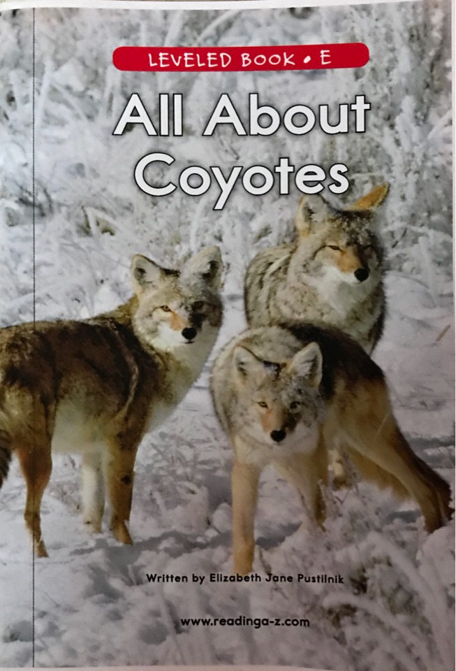 All About  Coyotes