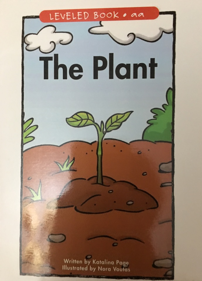 the plant