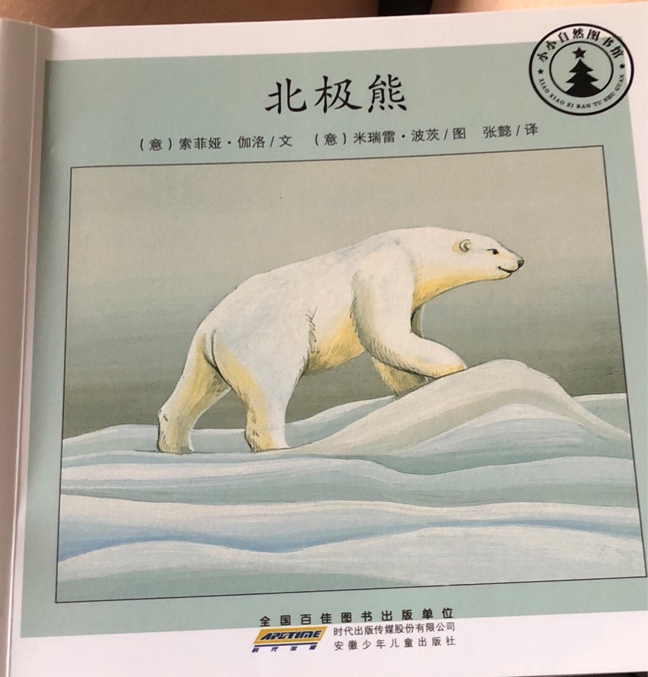 北極熊