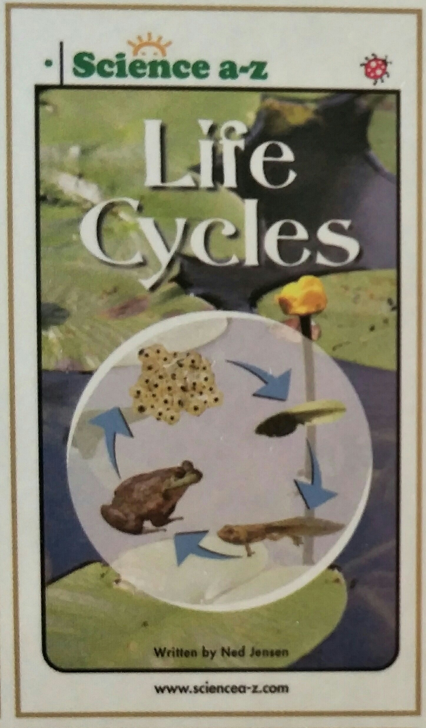 Life Cycle-LOW