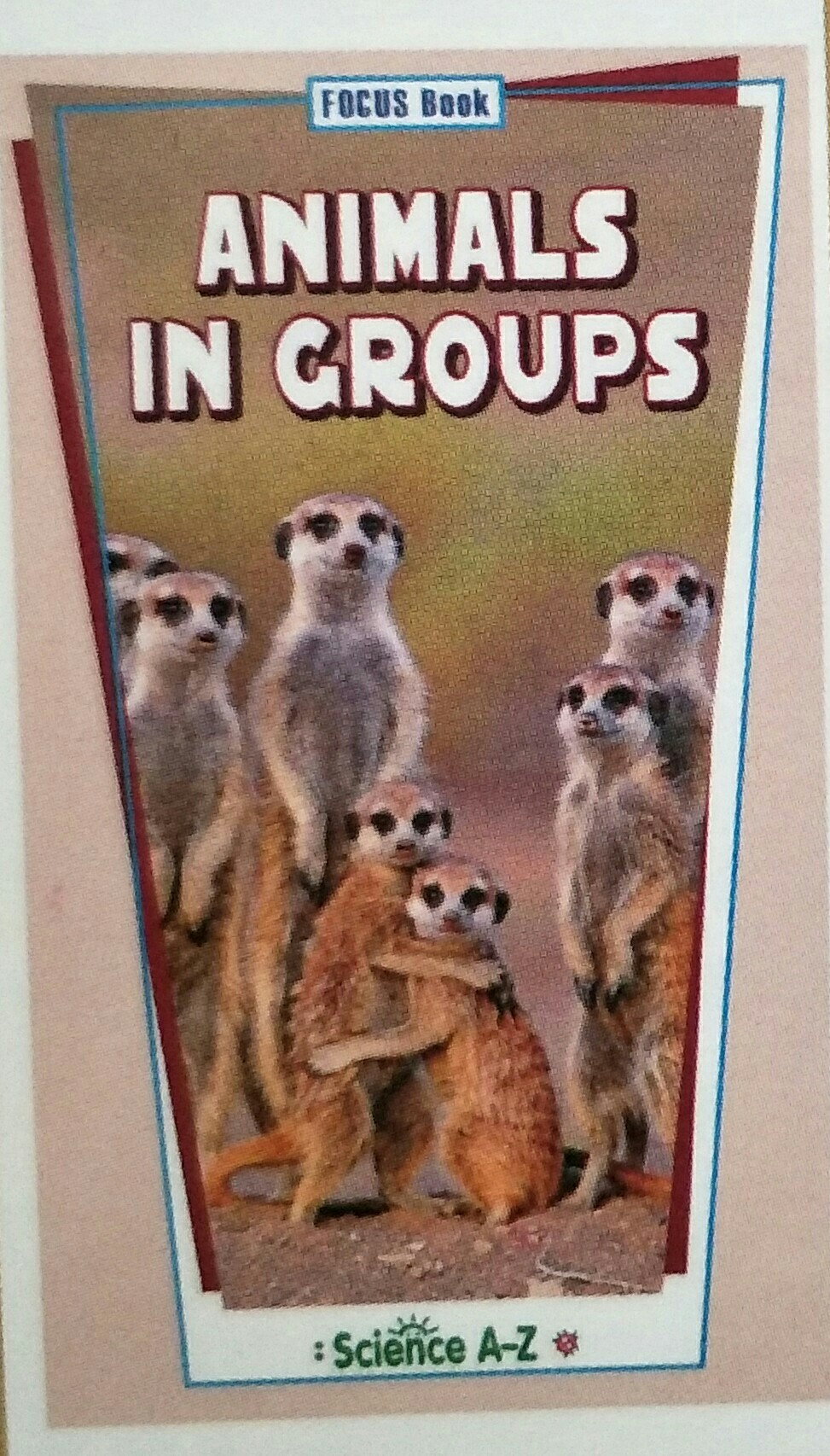 Animals In Groups