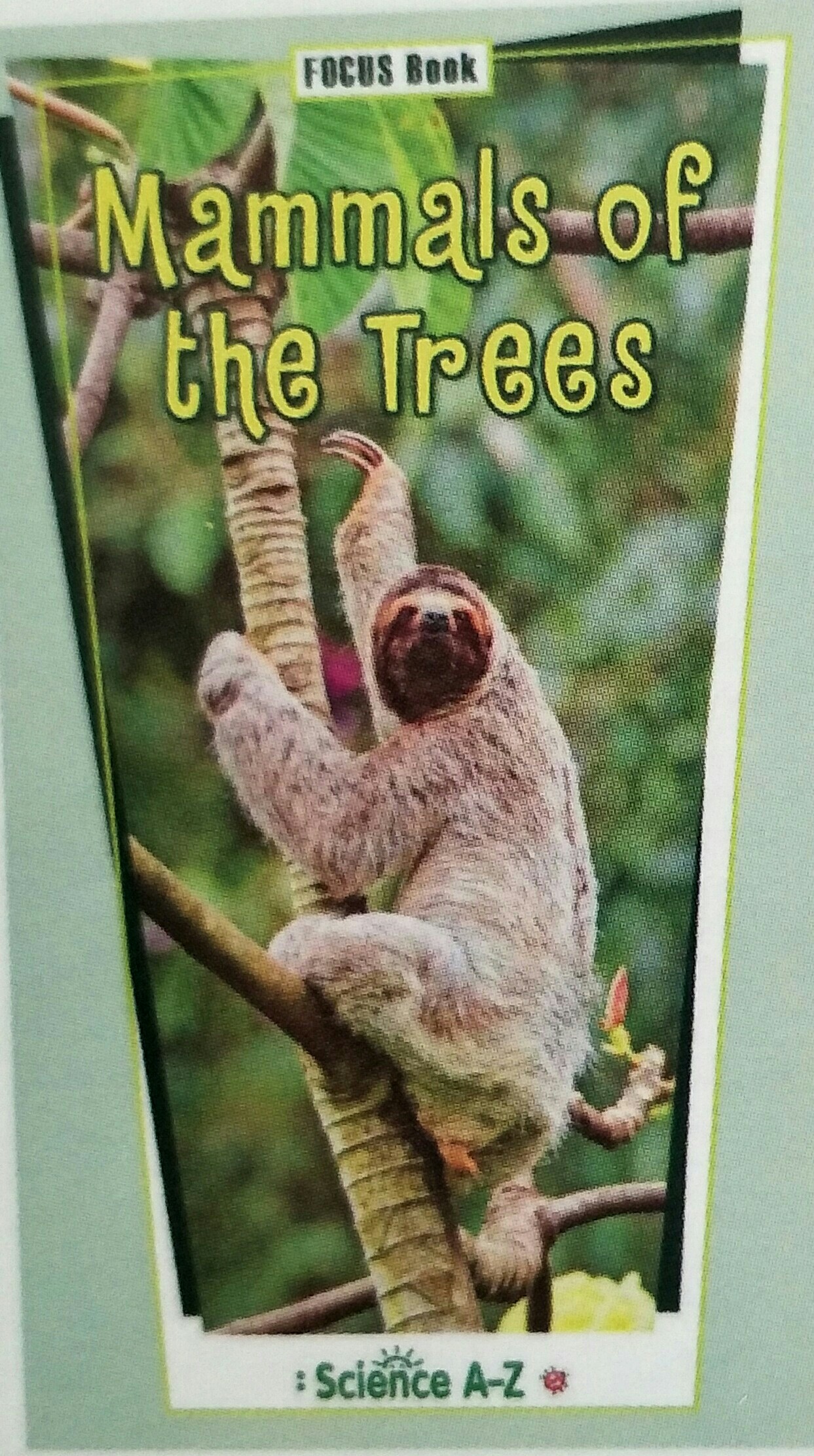 Mammals of the Trees