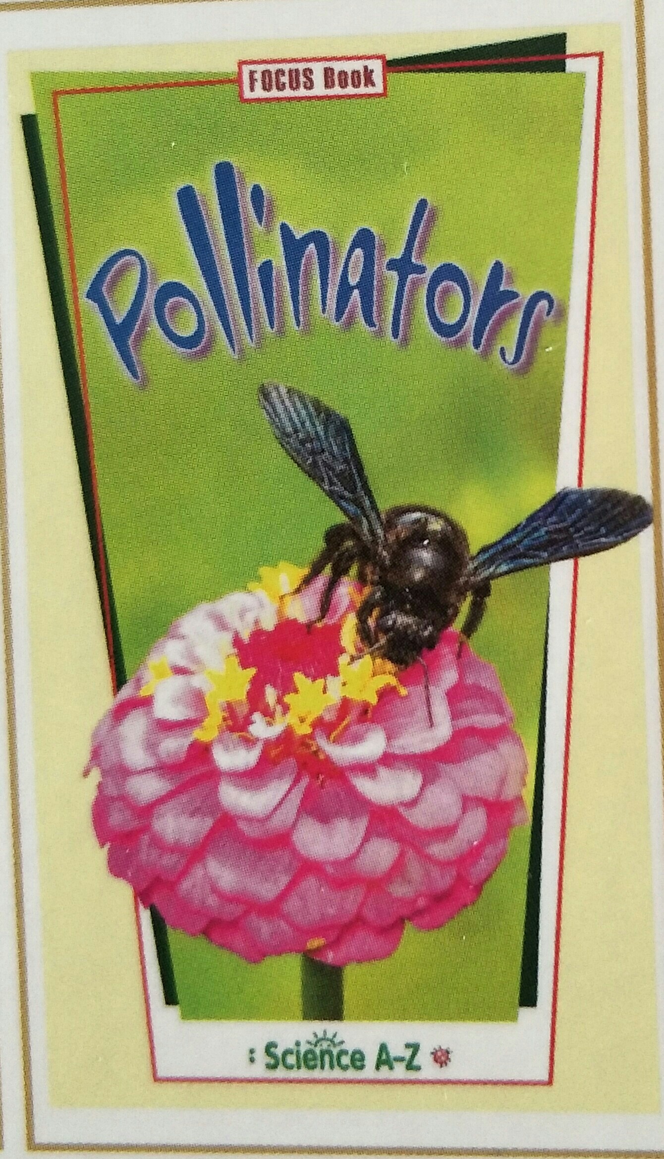 Pollinators