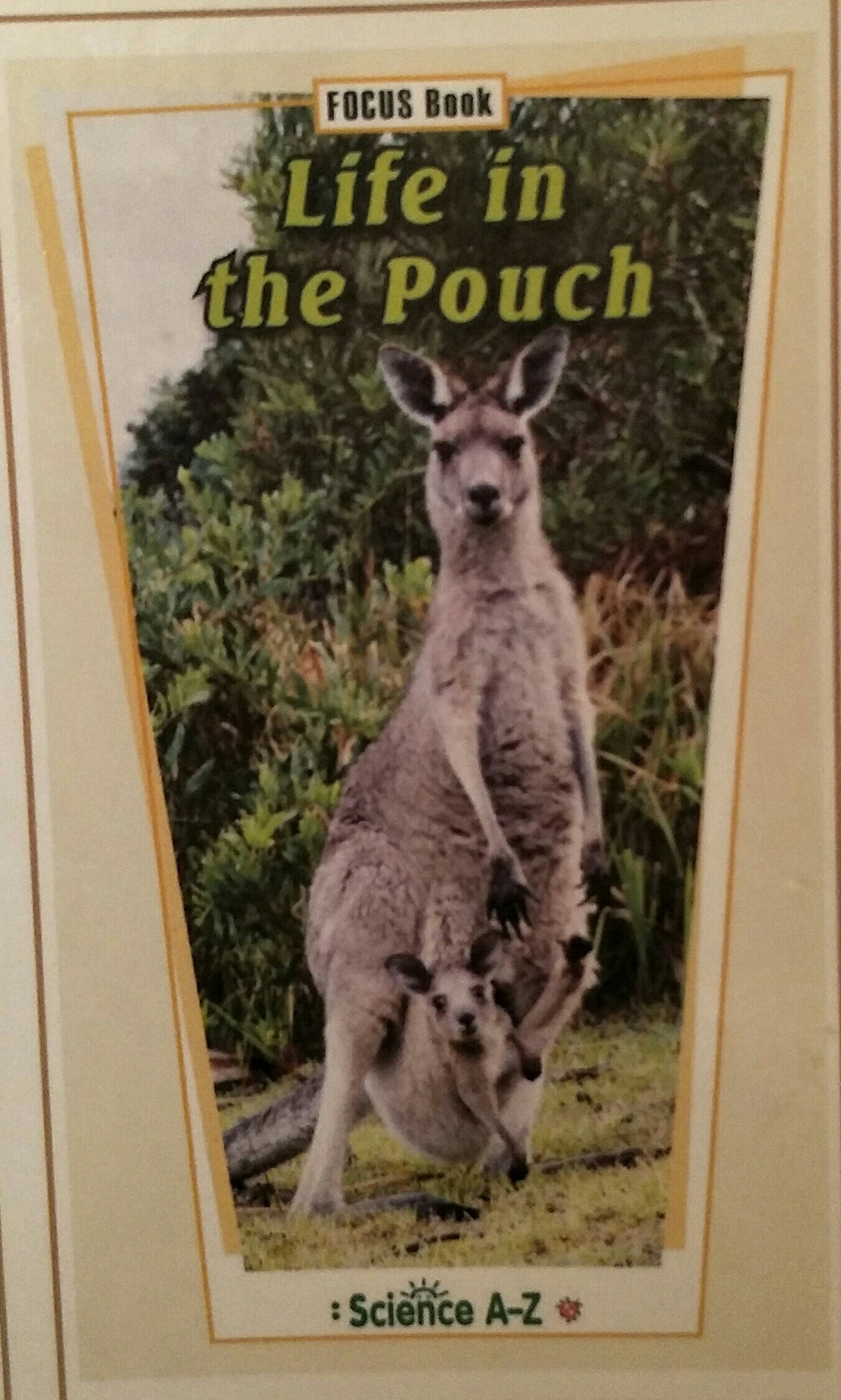 Life in the Pouch