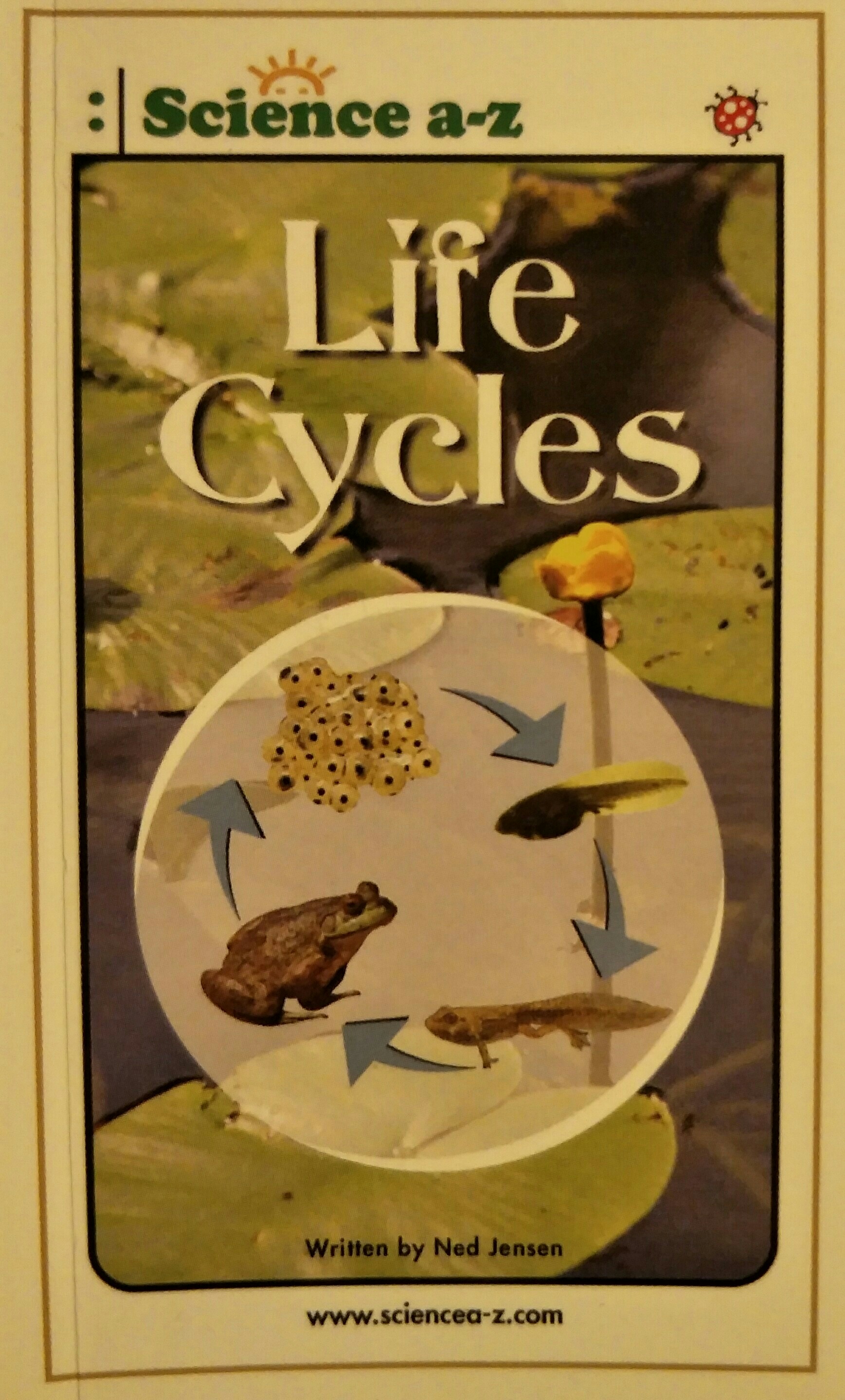 Life Cycles-Mid