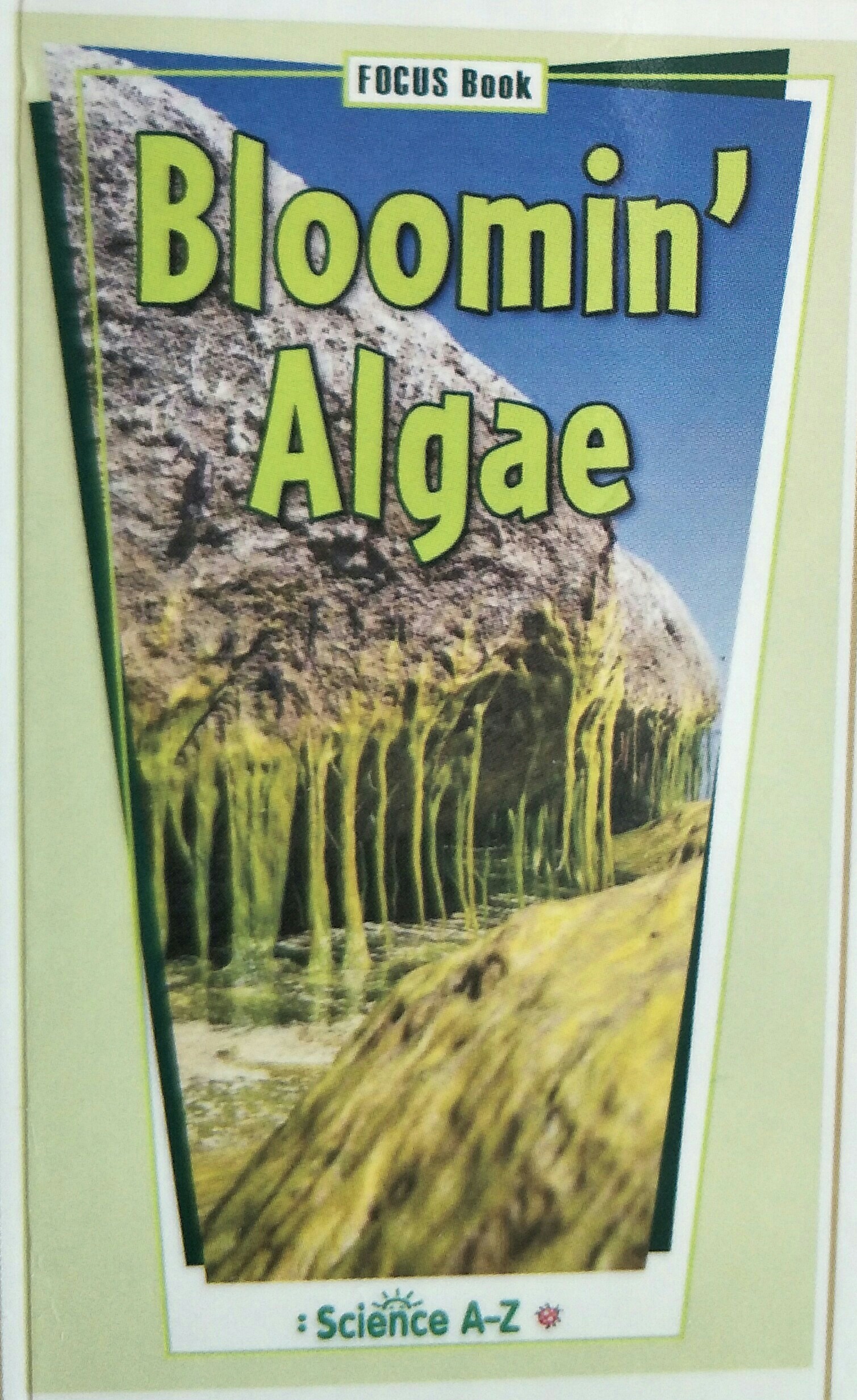 Bloomin Algae