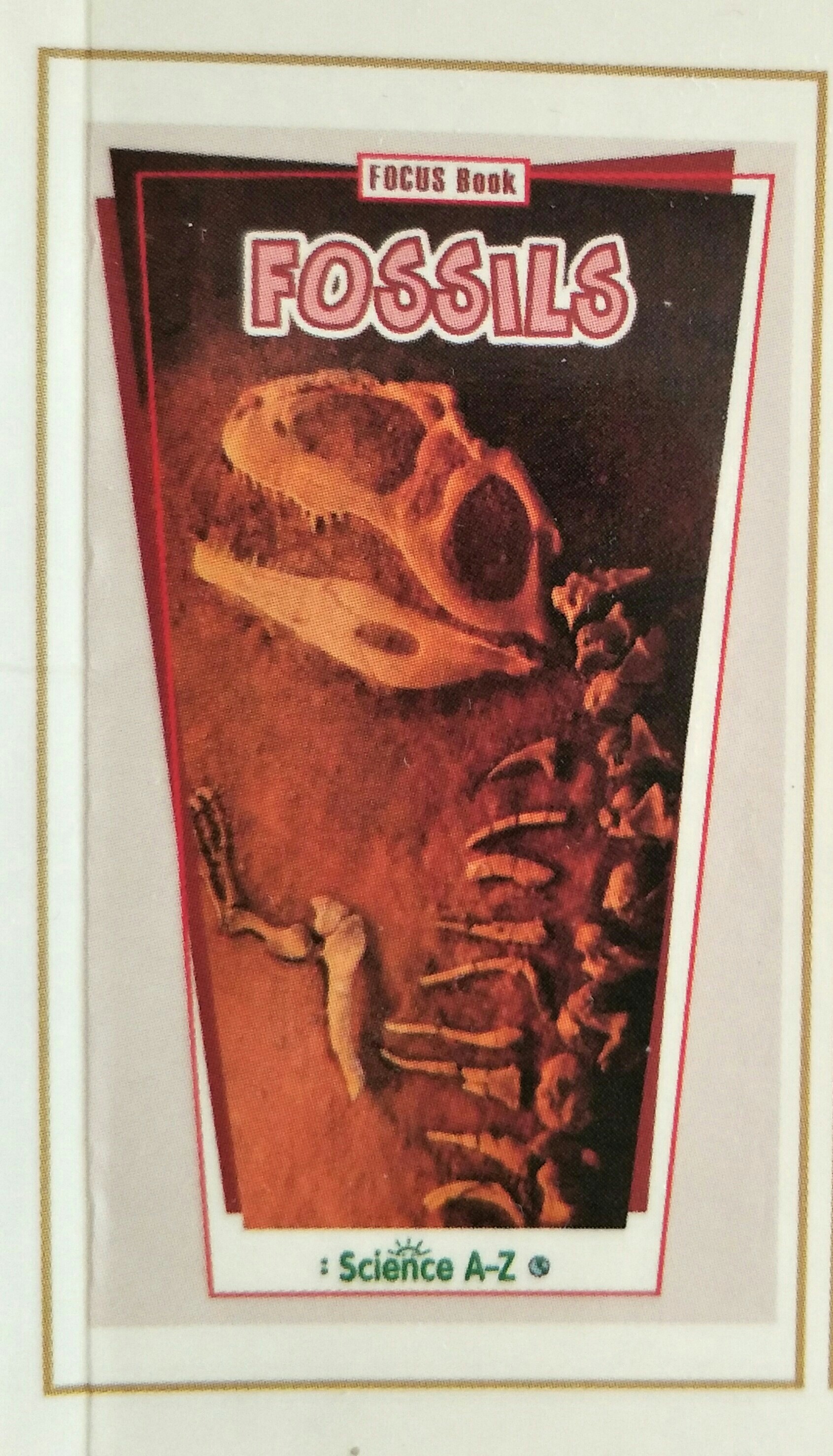 Fossils