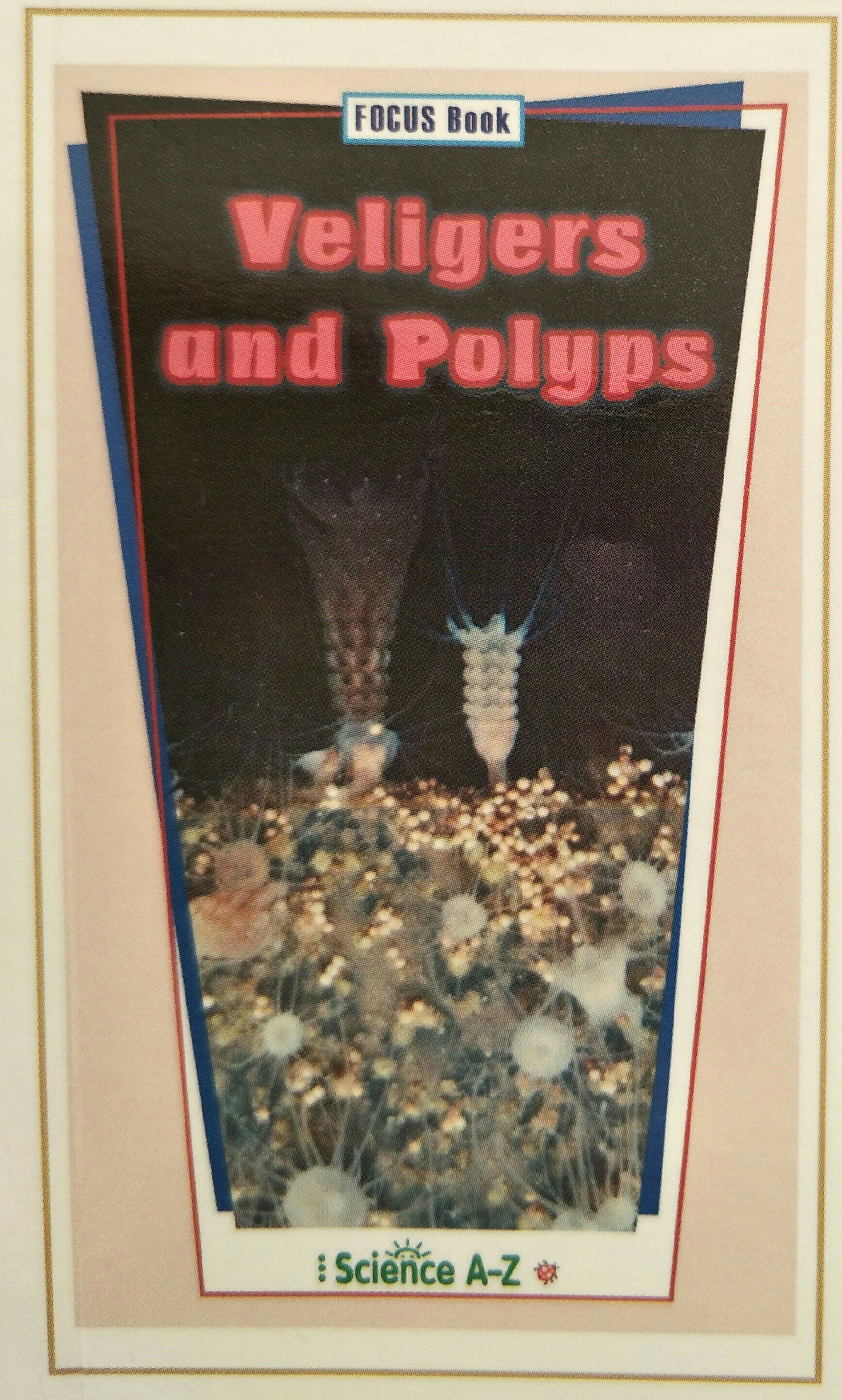 Veligers and Polyps