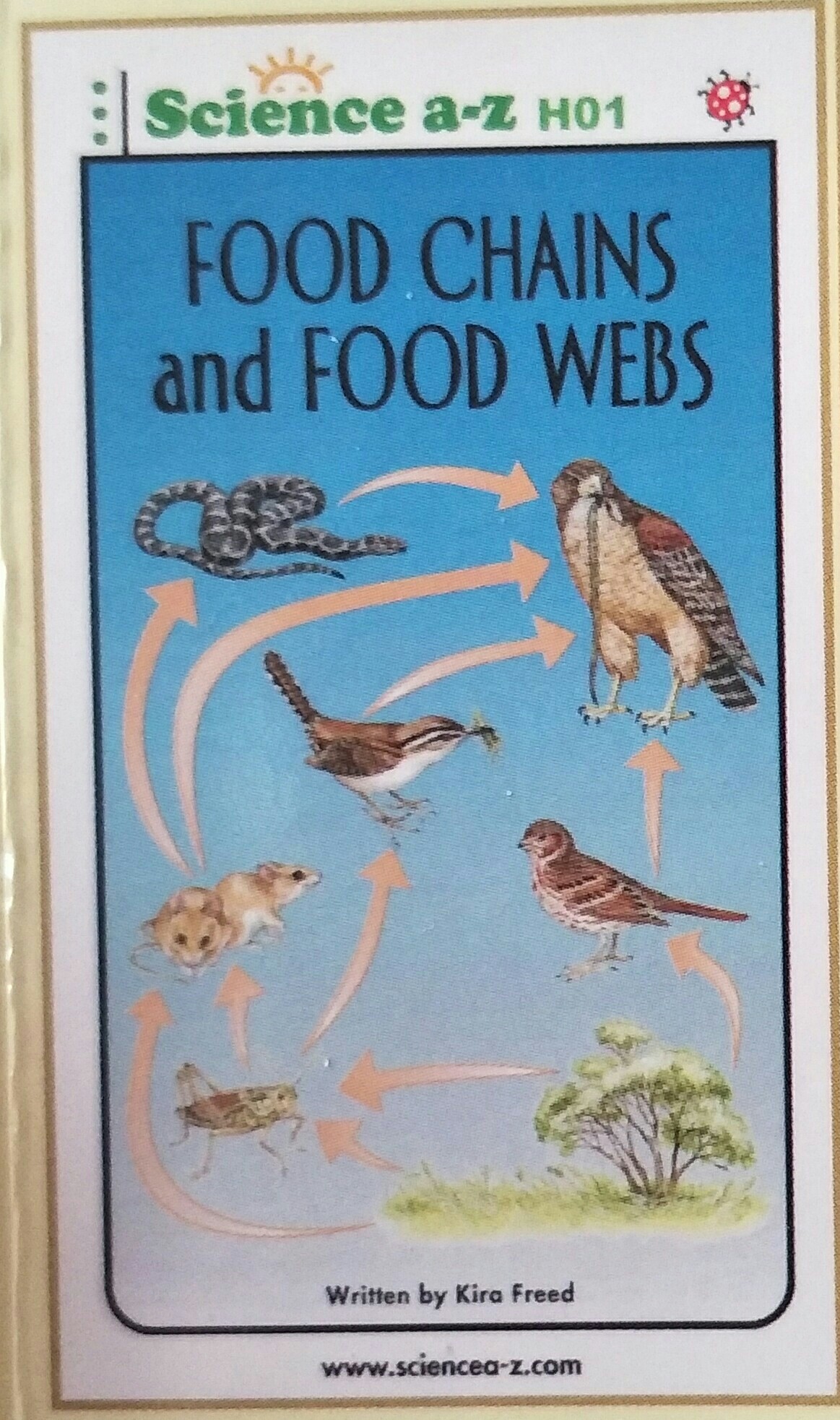 Food Chains and Food Webs-High