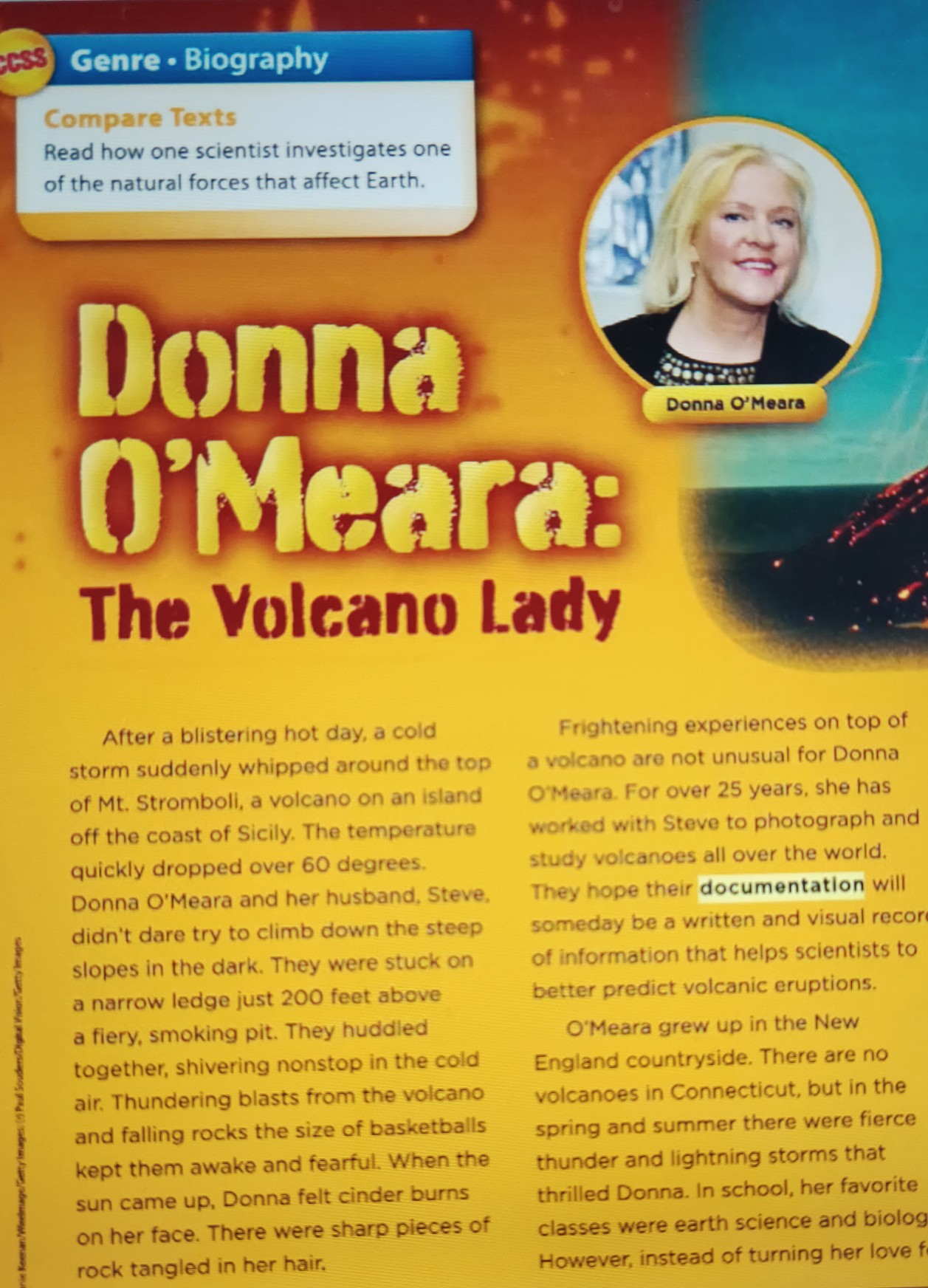 Donna O'Meara