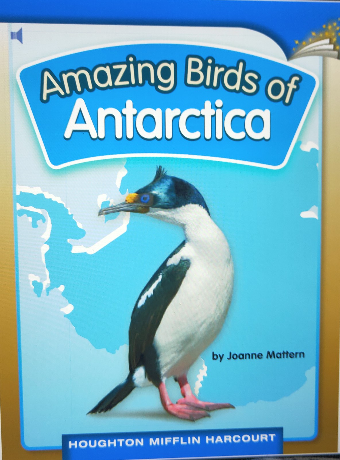 Amazing Birds Of Antarctica