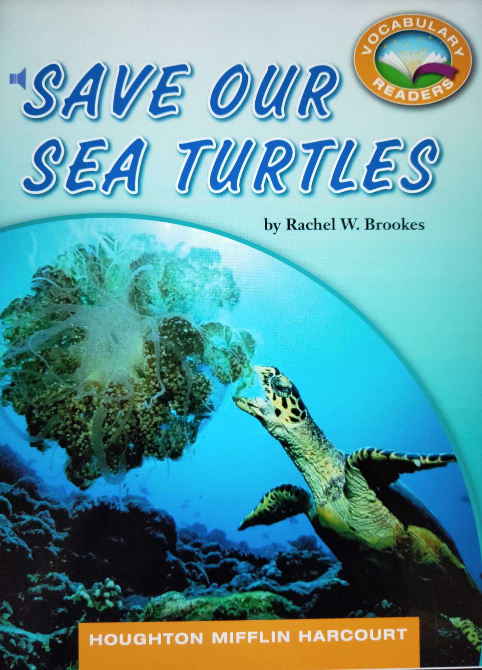 Save Our Sea Turtles