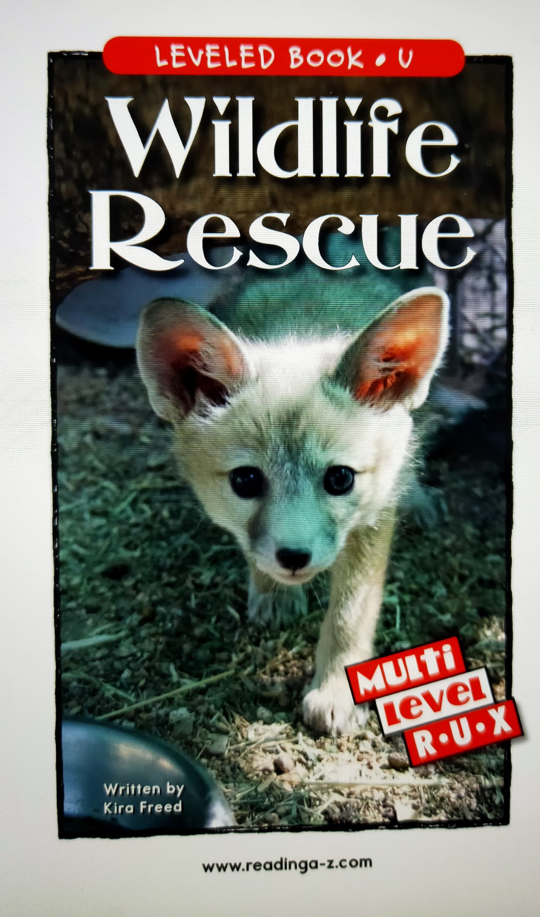 Wildlife Rescue