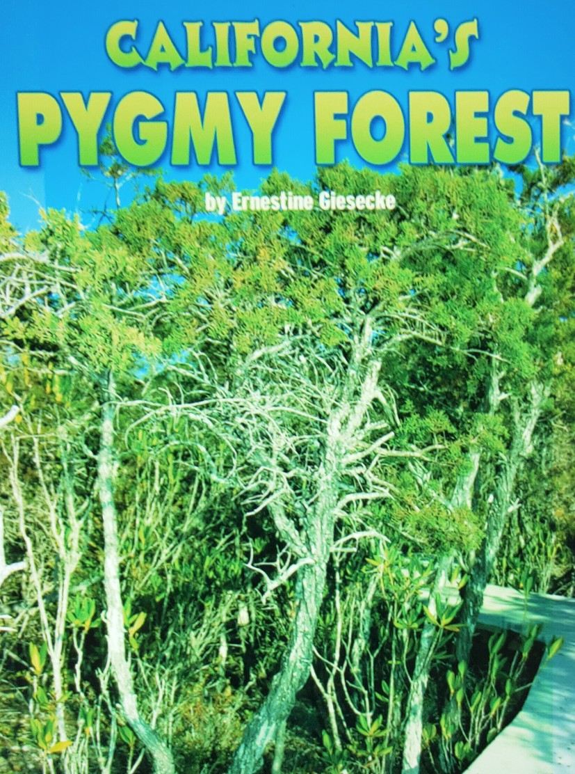 California's Pygmy Forest