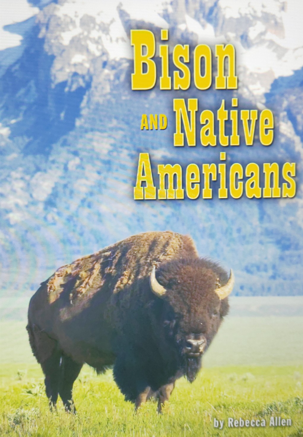 Bison and Native Americans