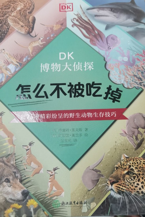 dk怎么不被吃掉
