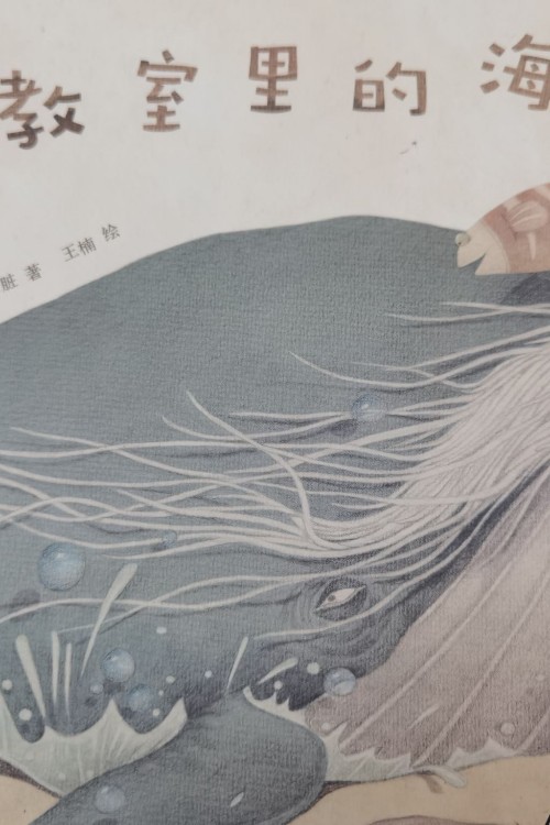 教室里的海