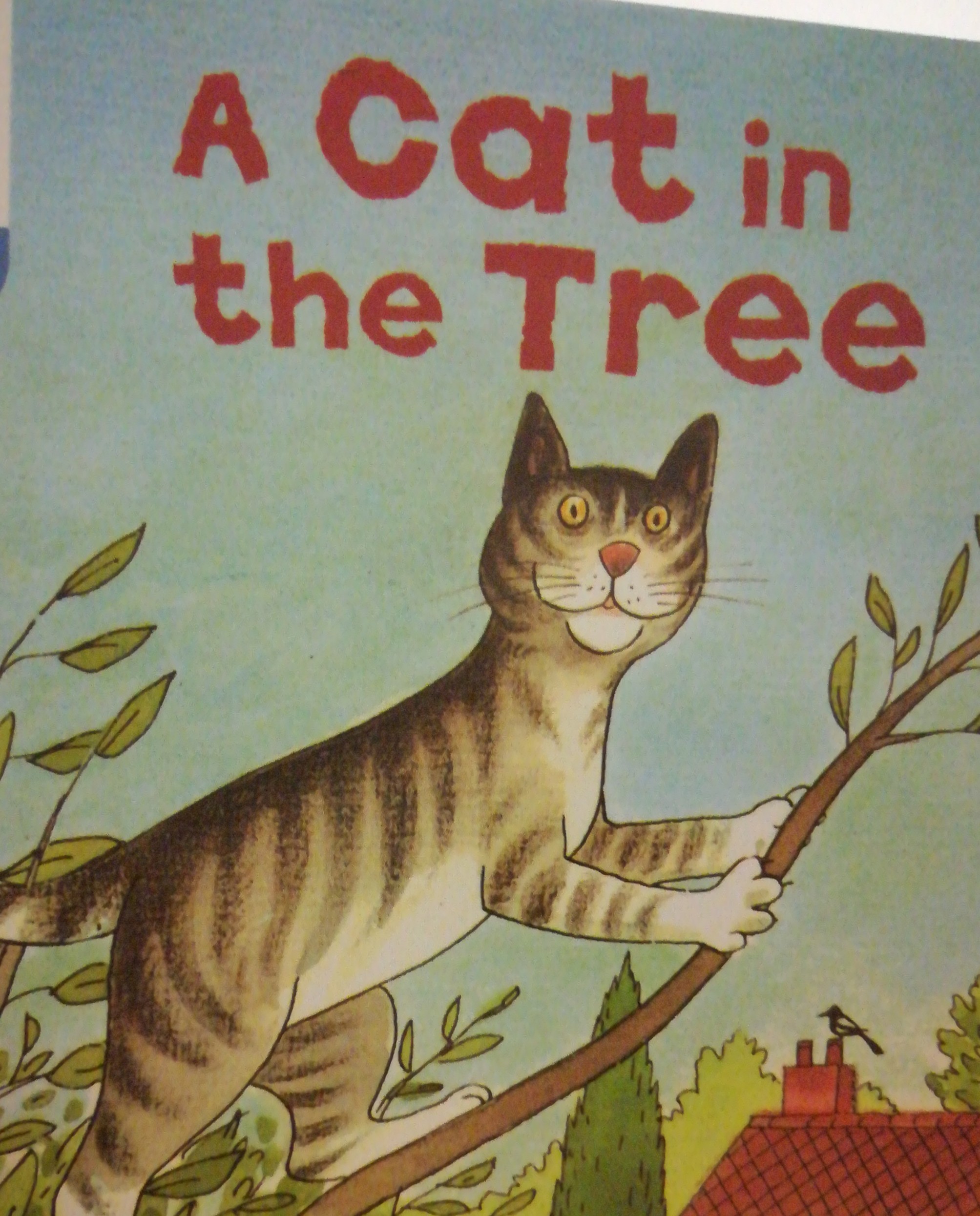 a  cat  In  the  tree