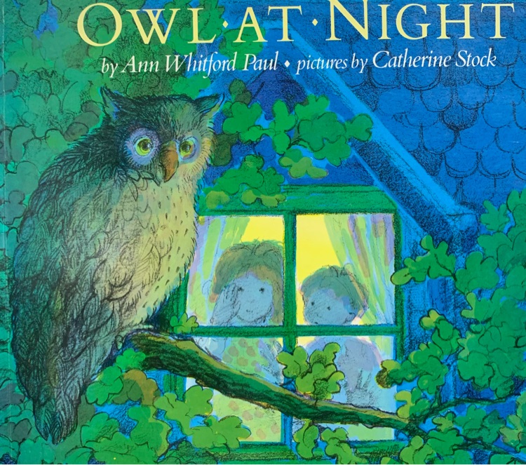 Owl at Night