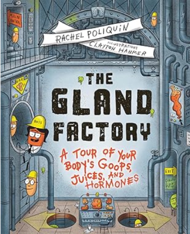The Gland Factory: A Tour of Your Body's Goops, Juices, and Hormones