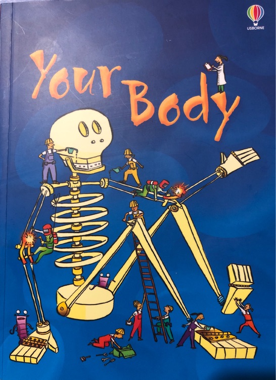 Your Body