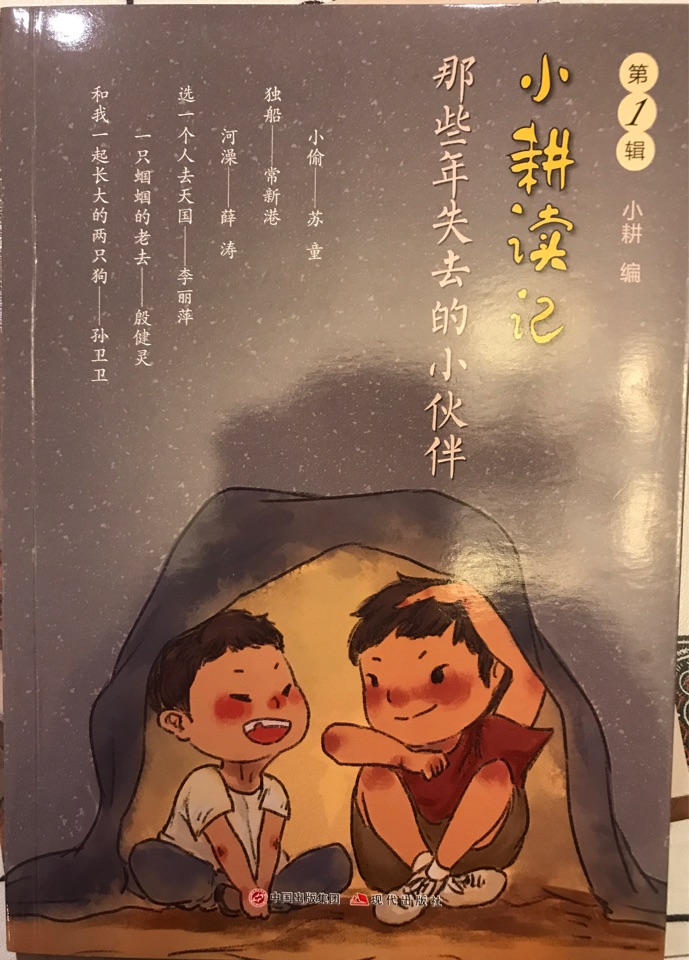那些年失去的小伙伴