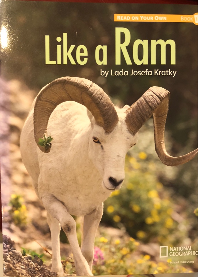 Reach for Reading K (Read On Your Own Books): Like a Ram