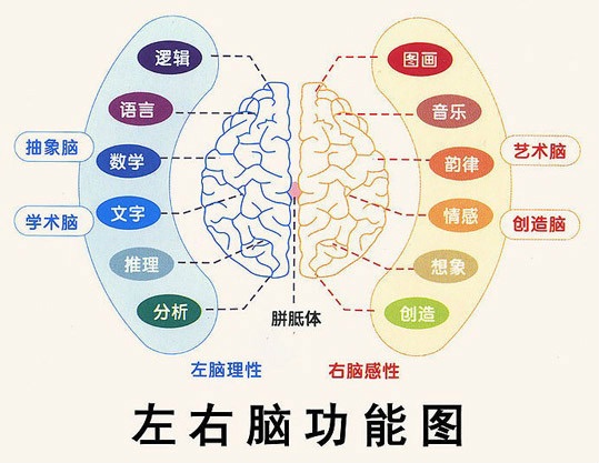 我家基于腦科學的