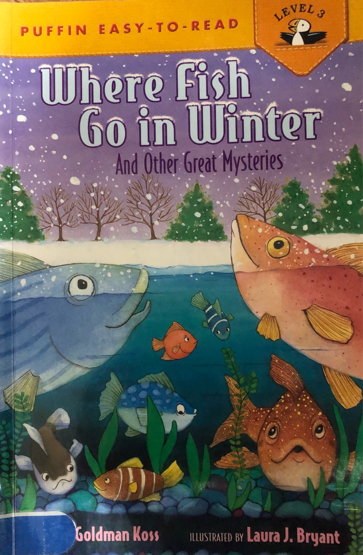 Where Fish Go in Winter And Other Great Mysteries