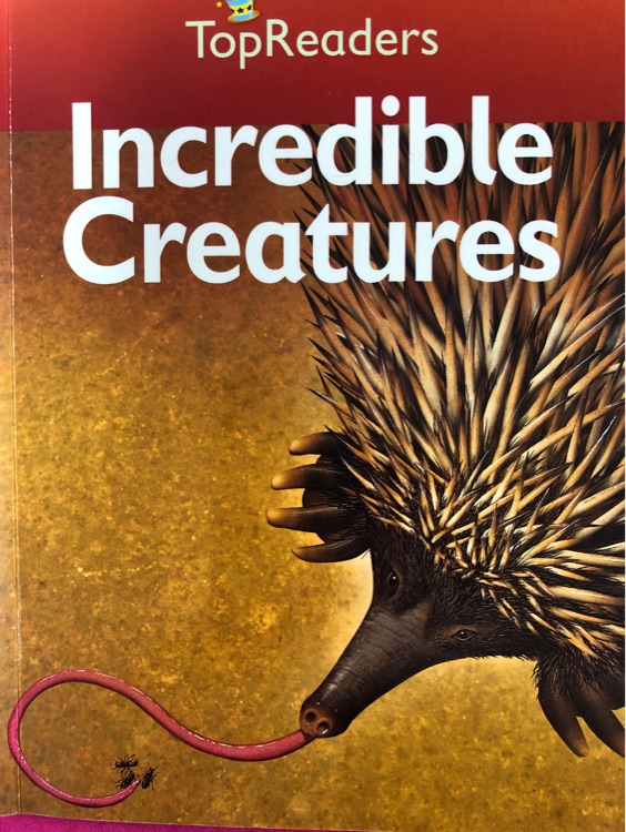 Incredible Creatures