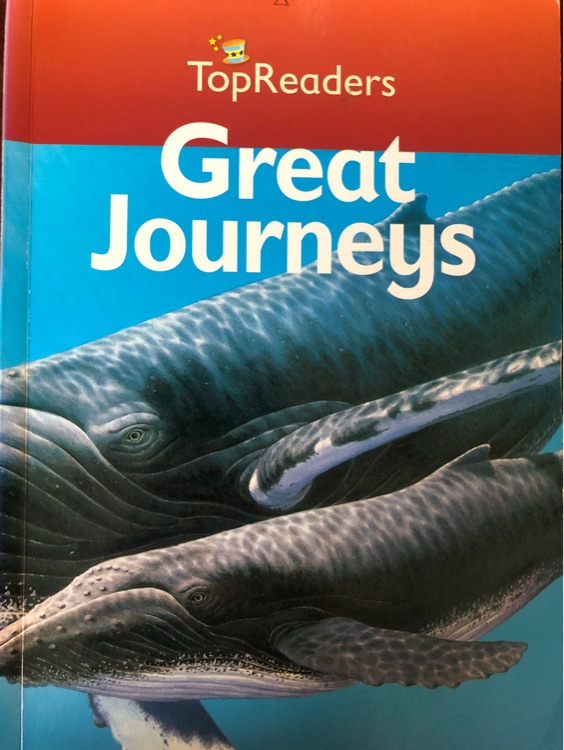 Great Journeys