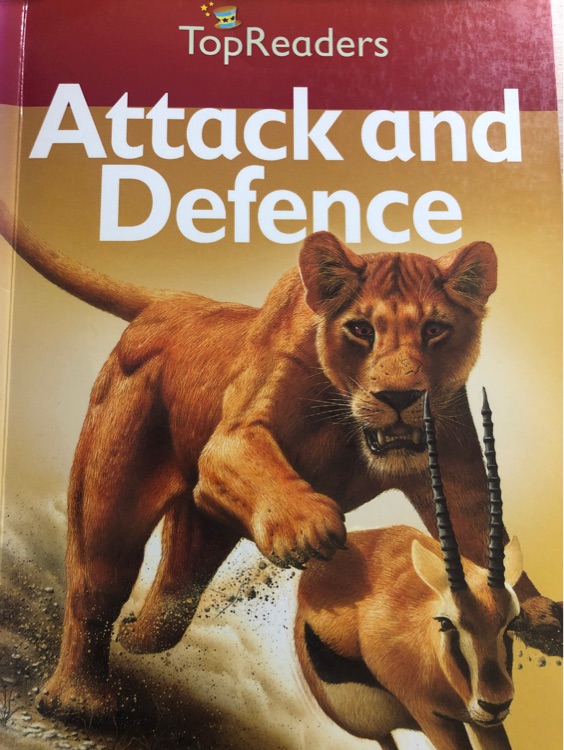 Attack and Defence