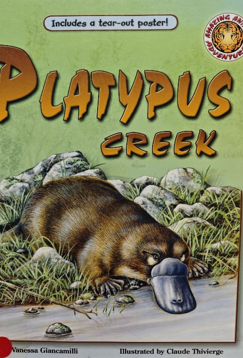 Platypus Creek