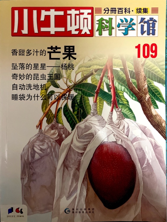 小牛頓科學(xué)館109: 香甜多汁的芒果