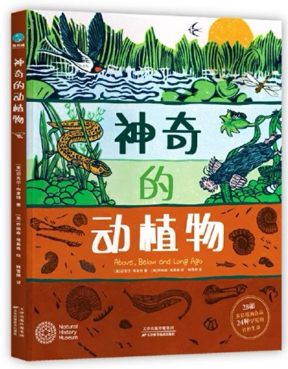 神奇的動(dòng)植物
