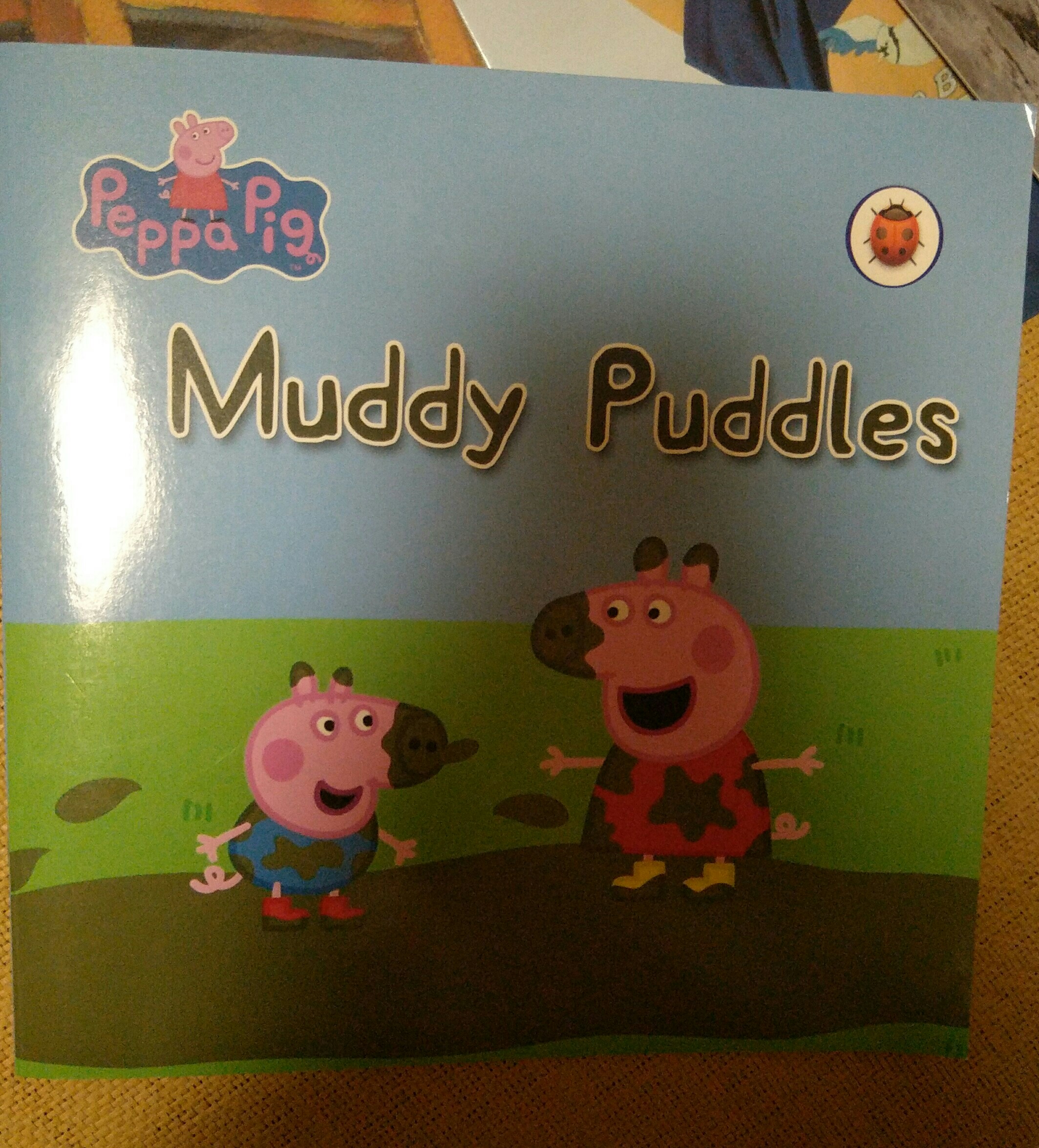 Muddy puddles