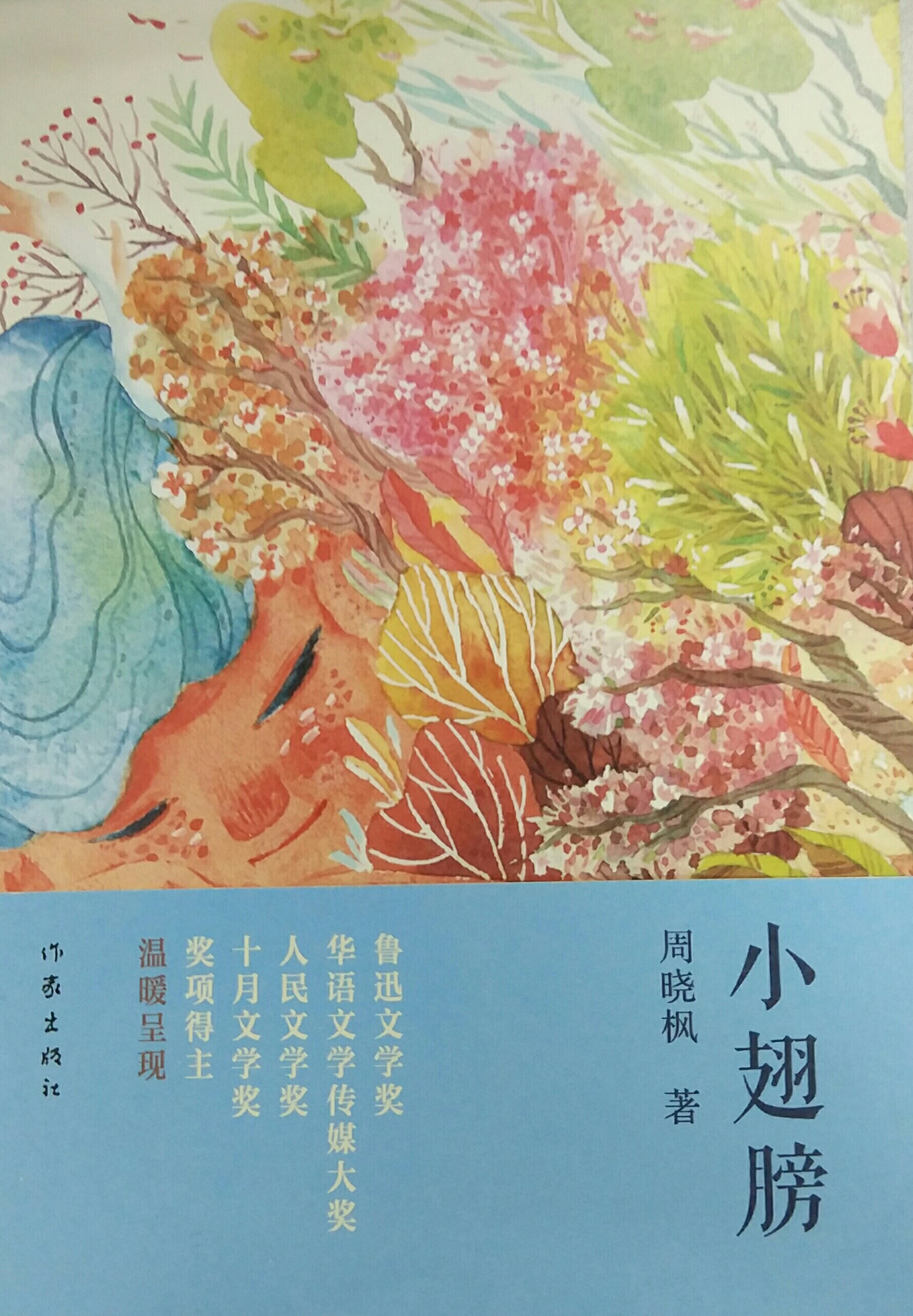 小翅膀