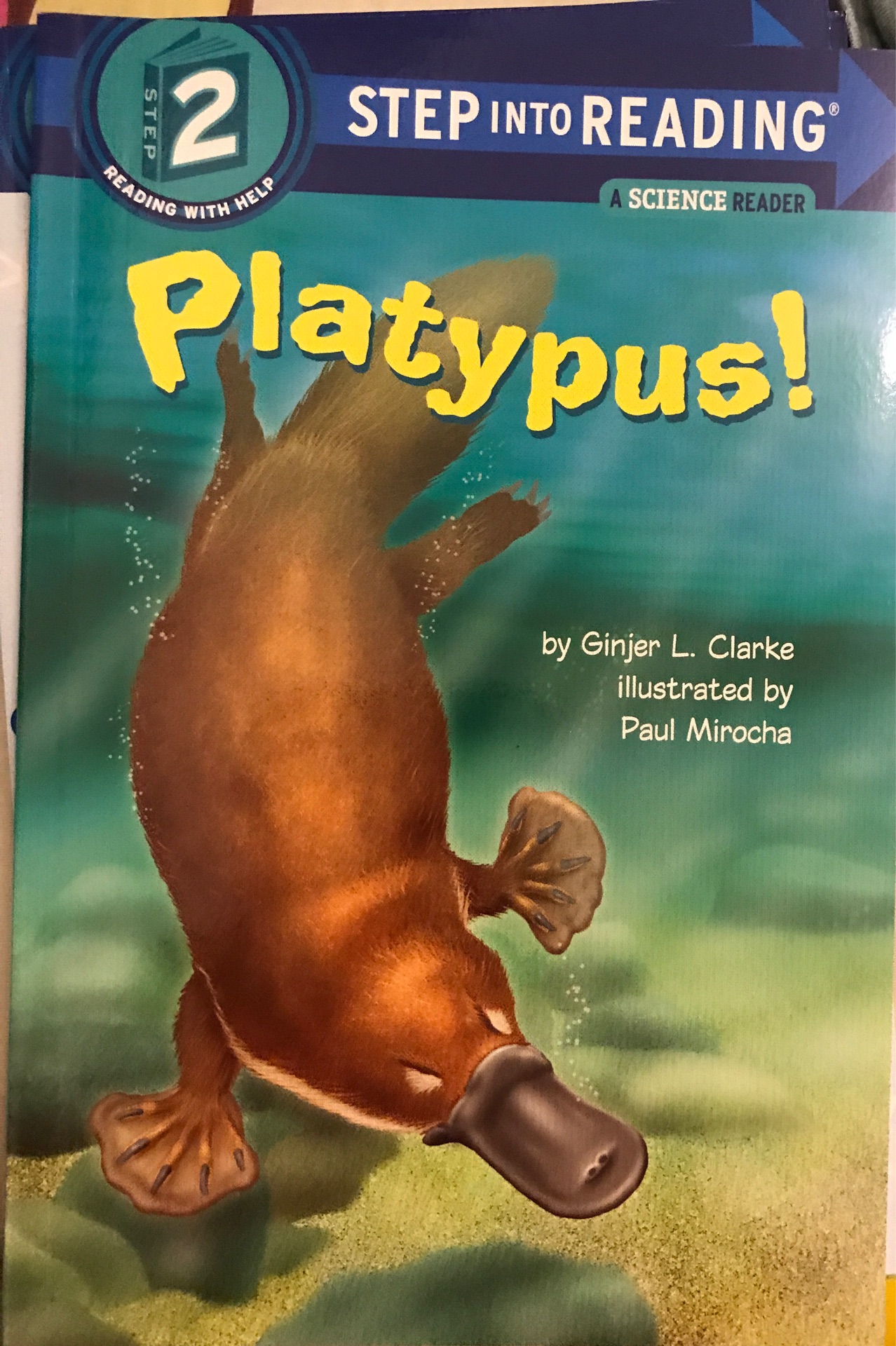 Platypus!