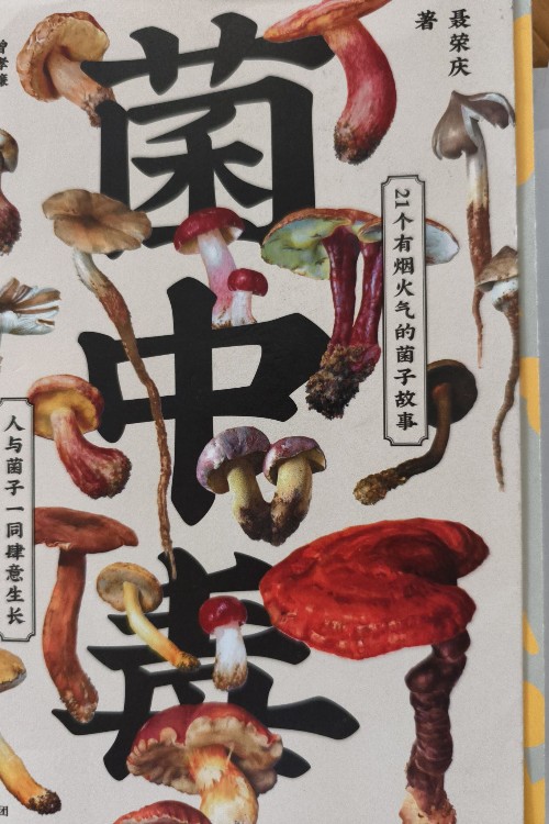 菌中毒