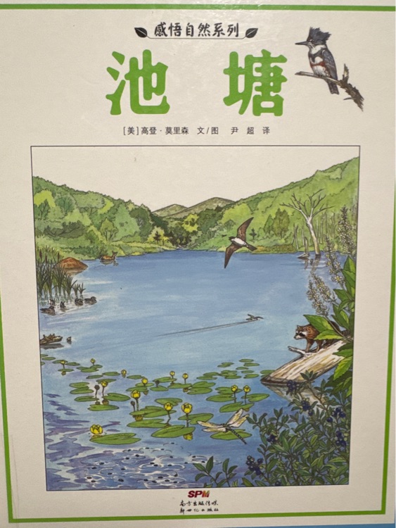 池塘