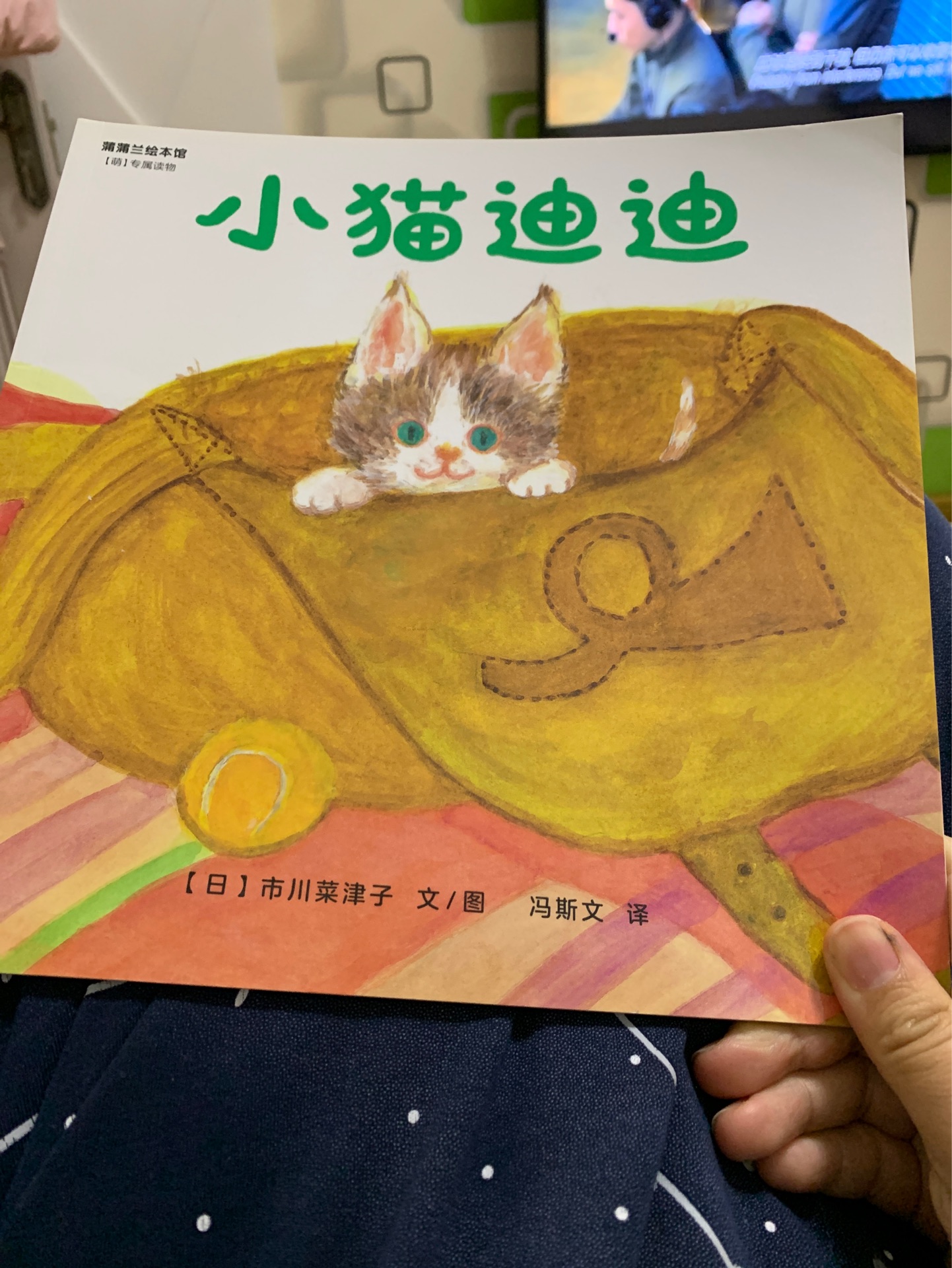 小貓迪迪