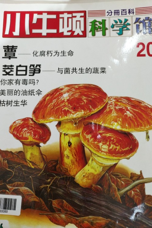 小牛頓科學(xué)館 覃  茭白筍