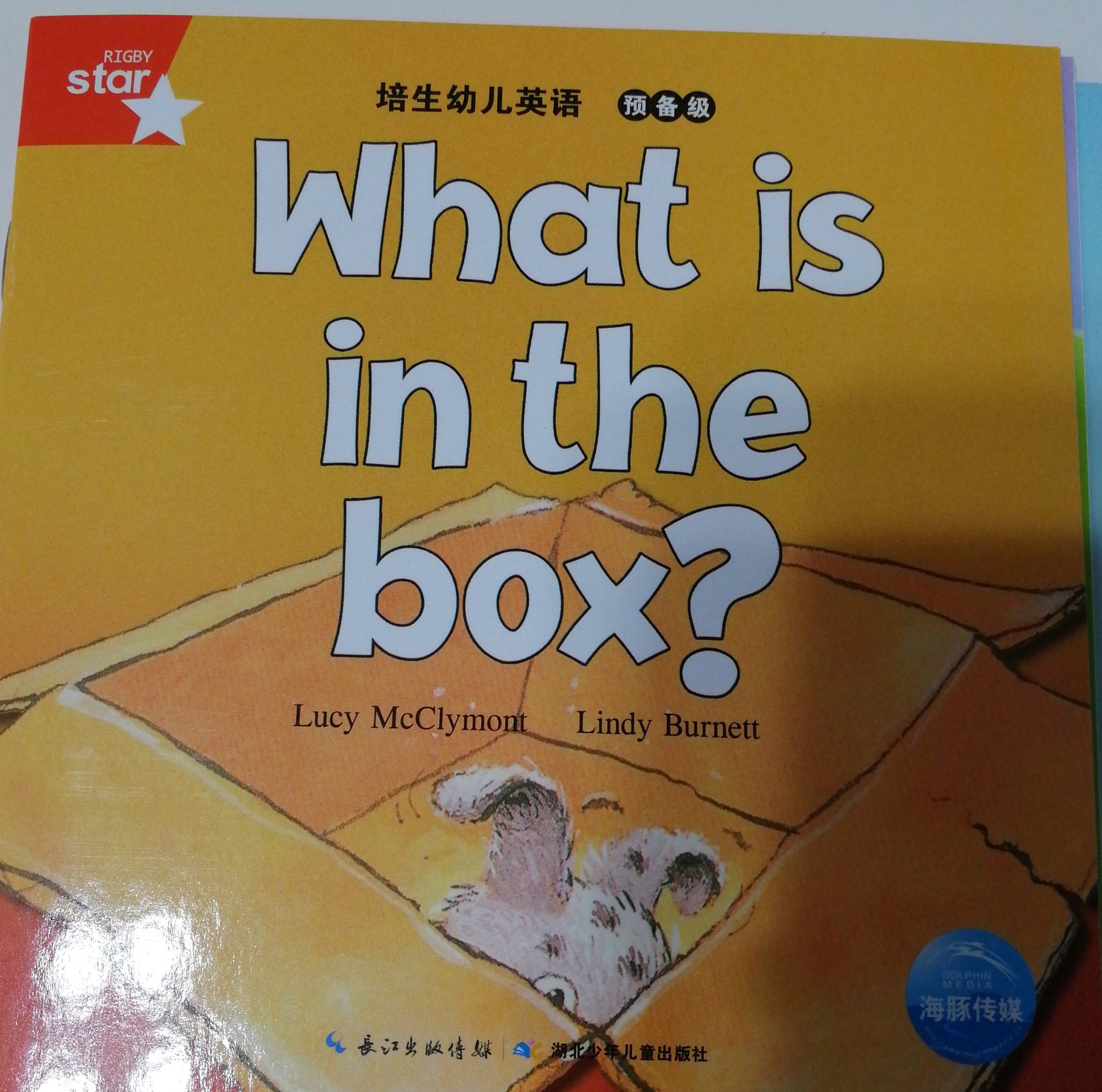 What is in the box