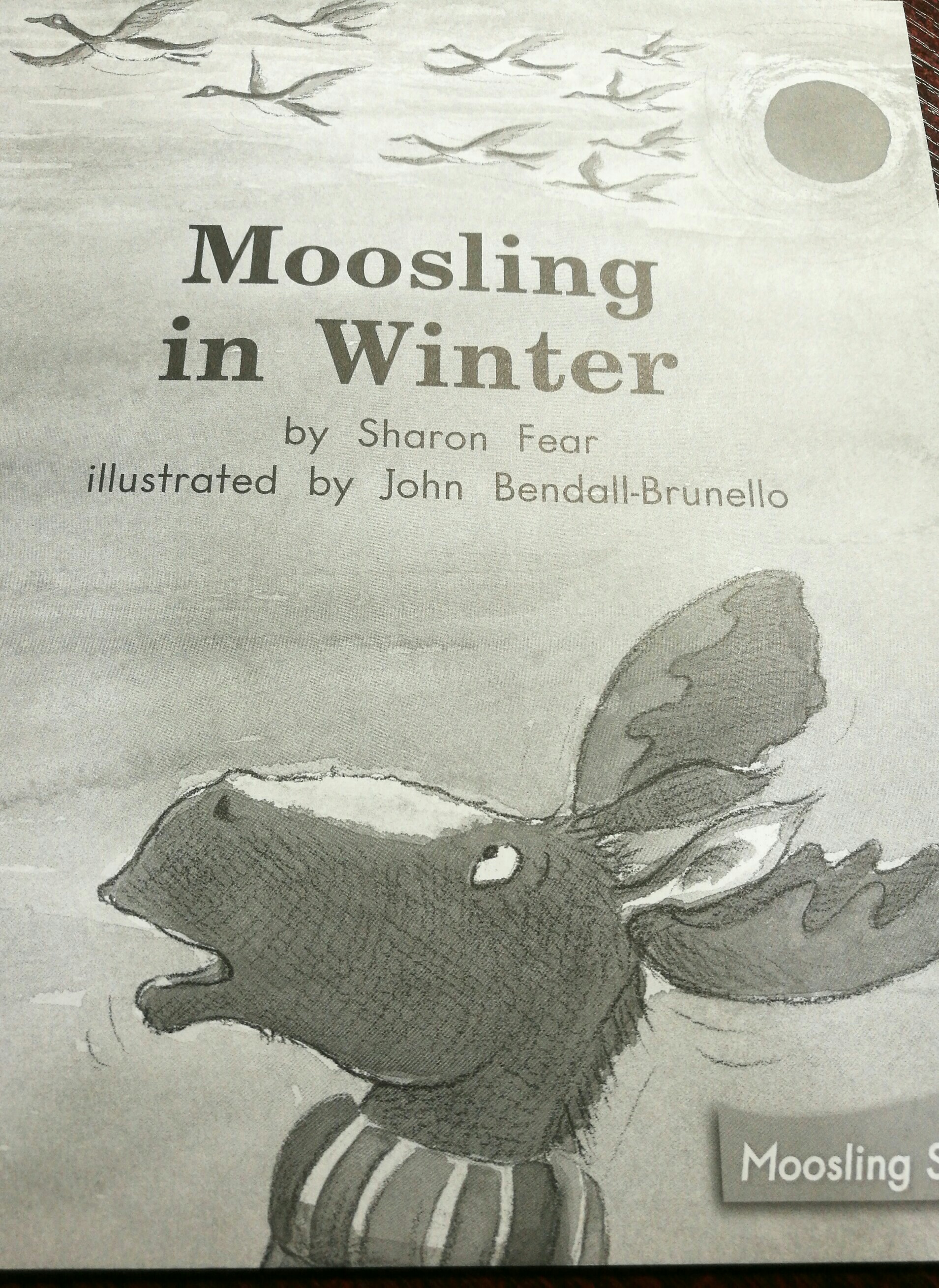 moosling in winter