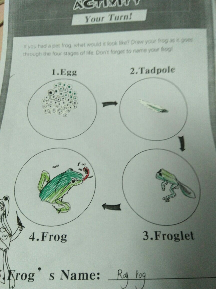 A Frog's Life