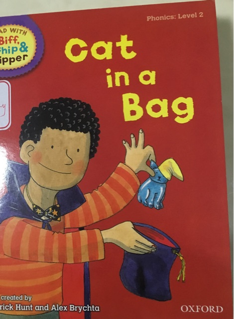 Cat in a bag