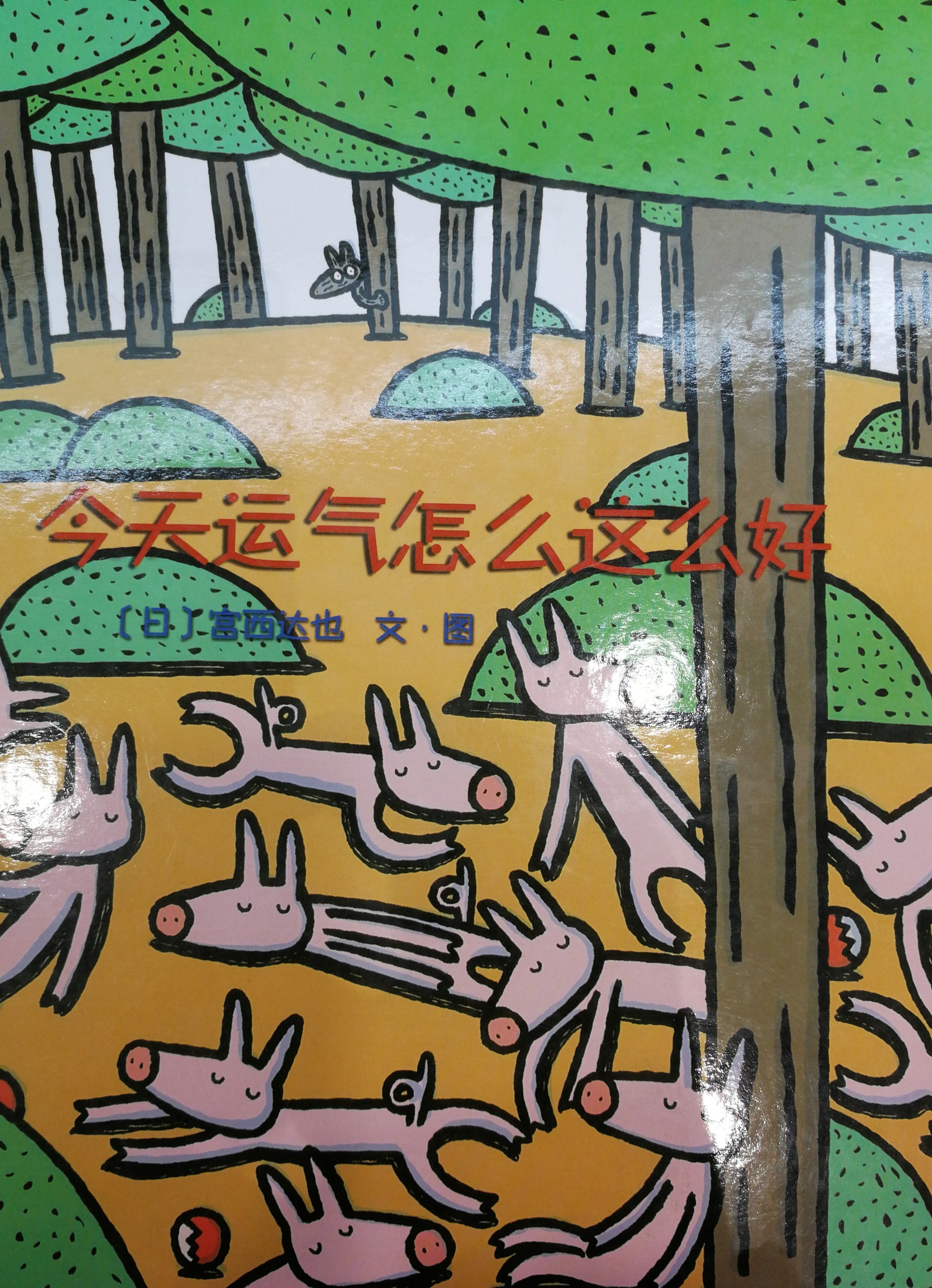 今天運氣怎么這么好